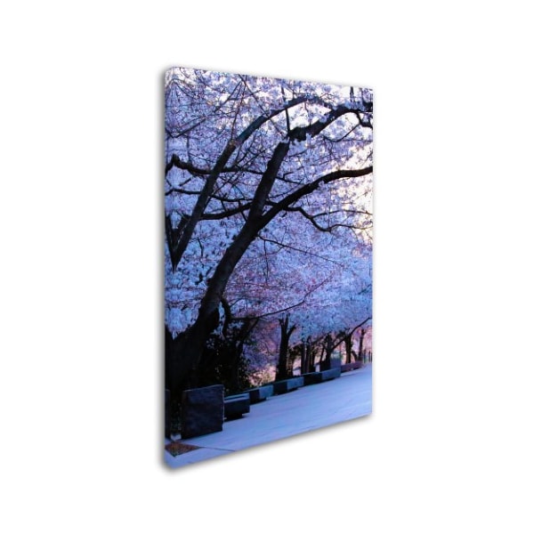 CATeyes 'Cherry Blossom Shade' Canvas Art,30x47